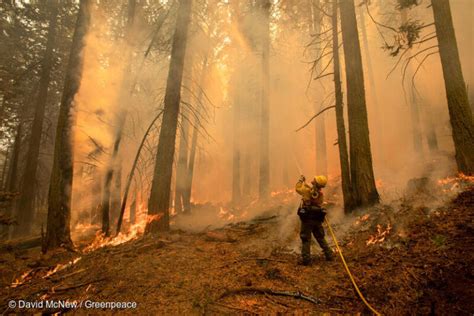 蛇山火事|【森林火災と気候変動】山火事はなぜ起きる？気候変。